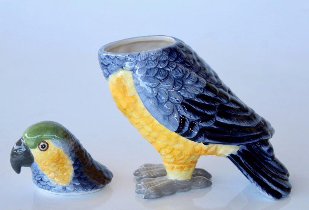 Yellow & Blue Parrot Lid Head